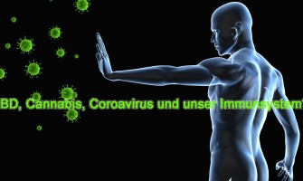 CBD, cannabis, coroavirus and our immune system? CBD, cannabis, coroavirus and our immune system?