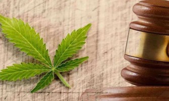 Le chanvre industriel remplace-t-il les médicaments sur ordonnance ? Le chanvre industriel remplace-t-il les médicaments sur ordonnance ?