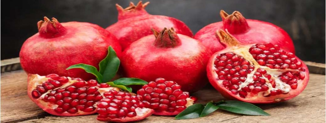 Is Your Immune System Aging? Science Shows Urolithin A May Help Is Your Immune System Aging? Science Shows Urolithin A May Help