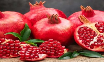 Is Your Immune System Aging? Science Shows Urolithin A May Help