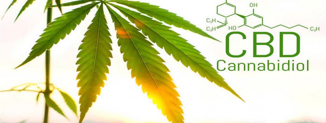 CBD has a significant alleviating effect on ischaemic diabetes