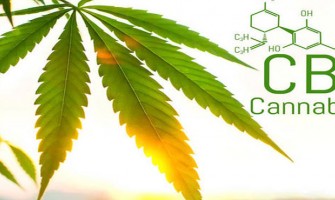 Le CBD a un effet apaisant significatif sur le diabète ischémique Le CBD a un effet apaisant significatif sur le diabète ischémique