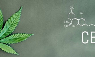 Les produits à base de CBD seront bientôt totalement légaux en France Les produits à base de CBD seront bientôt totalement légaux en France