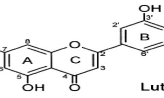 Luteolin: Nature's Wonder Drug? Luteolin: Nature's Wonder Drug?