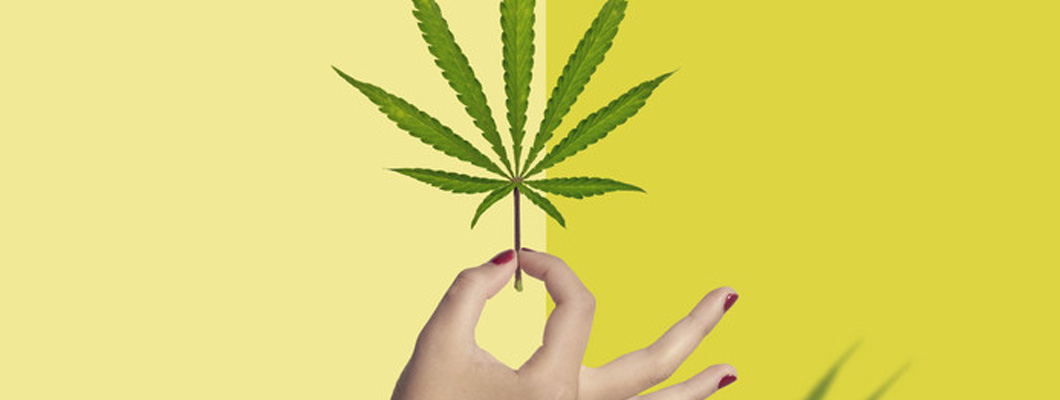 Medical Cannabis for Women’s Health: Can It Really Help With Endometriosis, Menopause and Chronic Pain? Medical Cannabis for Women’s Health: Can It Really Help With Endometriosis, Menopause and Chronic Pain?