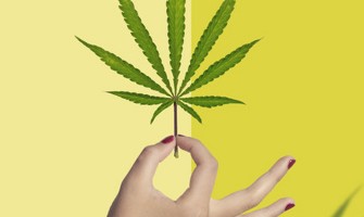 Medical Cannabis for Women’s Health: Can It Really Help With Endometriosis, Menopause and Chronic Pain?
