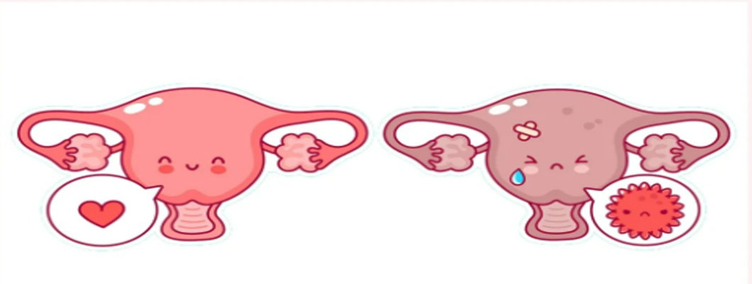 NMN's Hidden Role: Improving Premature Ovarian Insufficiency NMN's Hidden Role: Improving Premature Ovarian Insufficiency