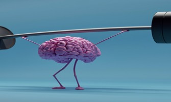 NMN and Brain Health: What Current Research Suggests