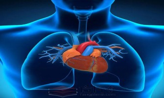 NMN applied to stem cell exosomes, bringing new direction for heart repair NMN applied to stem cell exosomes, bringing new direction for heart repair