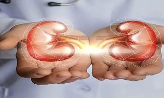 Le NMN renforce la santé rénale et combat la glomérulosclérose Le NMN renforce la santé rénale et combat la glomérulosclérose