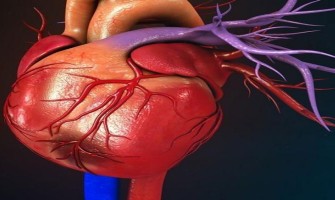 NMN effectively improves myocardial infarction NMN effectively improves myocardial infarction