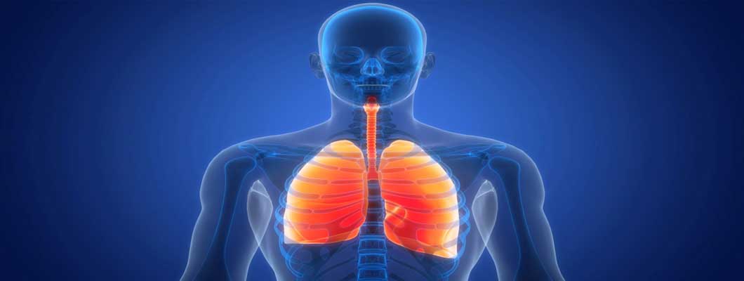NMN for Lung Health: Multi Dimensional Protection