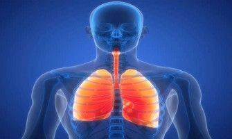 NMN pour la santé pulmonaire : une protection multidimensionnelle NMN pour la santé pulmonaire : une protection multidimensionnelle