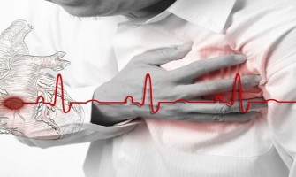 NMN Prevents Cardiovascular Disease - Guarding Your Health NMN Prevents Cardiovascular Disease - Guarding Your Health