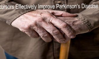 Les Précurseurs du NMN(NAD) Améliorent Efficacement les Symptômes de la Maladie de Parkinson Les Précurseurs du NMN(NAD) Améliorent Efficacement les Symptômes de la Maladie de Parkinson