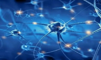 Human Clinical Trials: NMN improves sleep and mental fatigue in middle-aged and elderly people Human Clinical Trials: NMN improves sleep and mental fatigue in middle-aged and elderly people