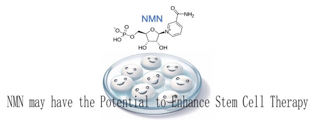 The latest research has found that NMN may have the potential to enhance stem cell therapy. The latest research has found that NMN may have the potential to enhance stem cell therapy.