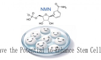 The latest research has found that NMN may have the potential to enhance stem cell therapy. The latest research has found that NMN may have the potential to enhance stem cell therapy.