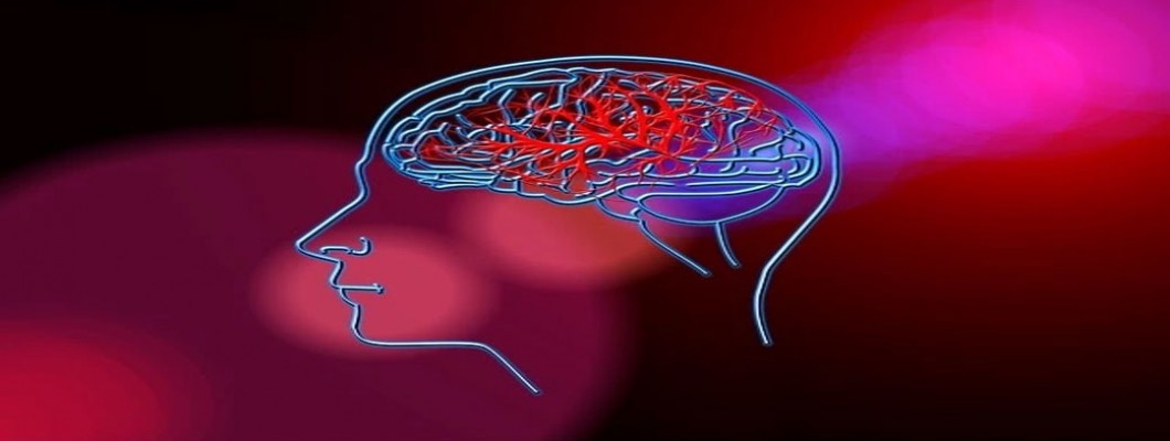 NMN: Revitalizing Neurovascular Health NMN: Revitalizing Neurovascular Health