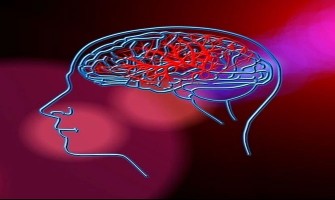 NMN: Revitalizing Neurovascular Health