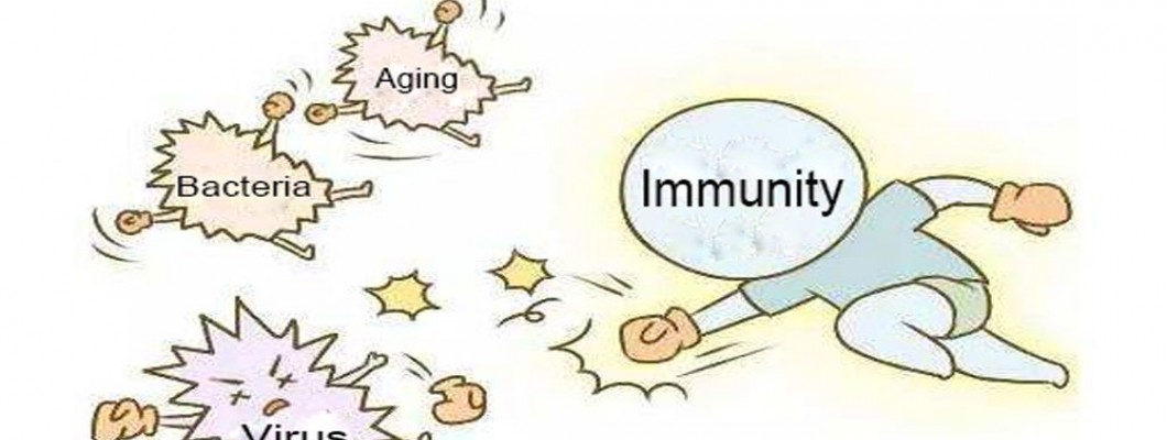 NMN Boosts Immunity.
