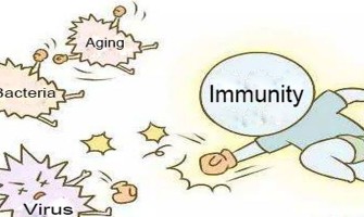 NMN Boosts Immunity. NMN Boosts Immunity.