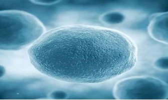 Several Warning Signs of Lymphoma Several Warning Signs of Lymphoma