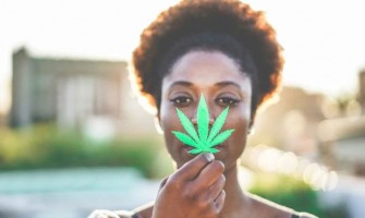 L'Afrique du Sud ouvrira totalement la culture du cannabis en octobre, l'Afrique pourrait devenir le cœur de la culture mondiale du cannabis L'Afrique du Sud ouvrira totalement la culture du cannabis en octobre, l'Afrique pourrait devenir le cœur de la culture mondiale du cannabis