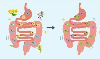 Les bienfaits surprenants du NMN : comment il rééquilibre votre microbiote intestinal Les bienfaits surprenants du NMN : comment il rééquilibre votre microbiote intestinal