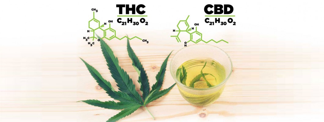Consumers do not know the THC and CBD content in cannabis products Consumers do not know the THC and CBD content in cannabis products