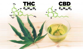 Consumers do not know the THC and CBD content in cannabis products Consumers do not know the THC and CBD content in cannabis products
