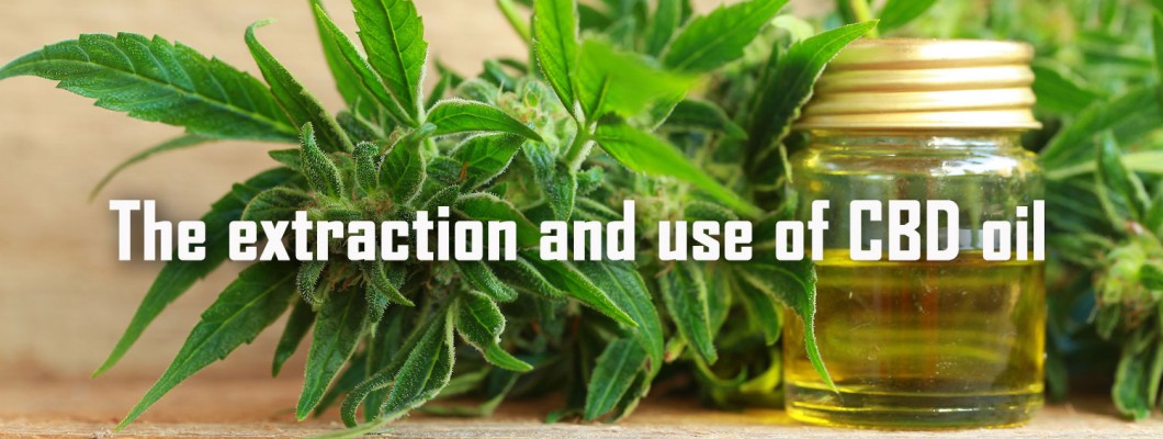 The extraction and use of CBD oil