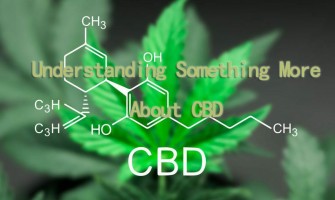 Comprendre quelque chose de plus sur la CDB Comprendre quelque chose de plus sur la CDB