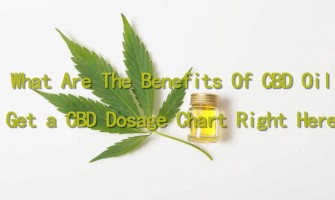 Quels sont les avantages du pétrole de la CDB - Obtenez un tableau de dosage de la CDB ici Quels sont les avantages du pétrole de la CDB - Obtenez un tableau de dosage de la CDB ici