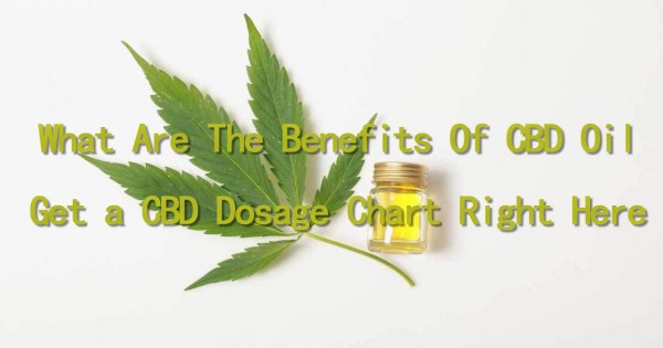 Suggested Dosage – CBD Garden Health Products