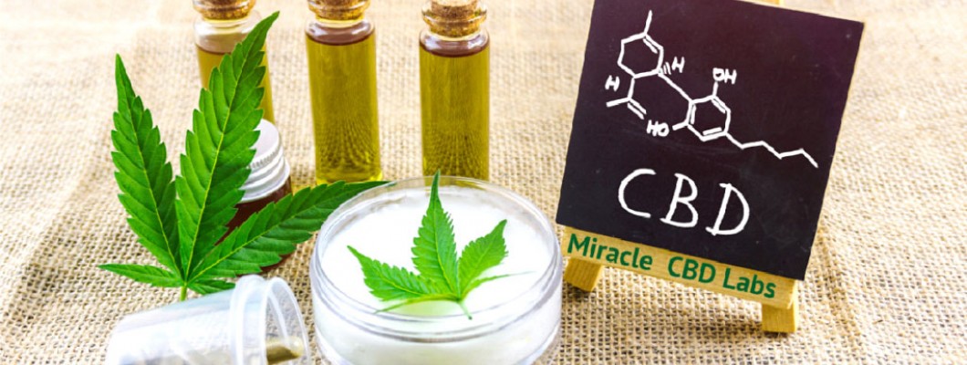 What Diseases can CBD Prevent?