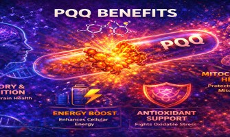 What Is PQQ? Exploring Its Role in Mitochondrial Health and Cellular Energy