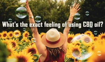What's the exact feeling of using CBD oil? What's the exact feeling of using CBD oil?