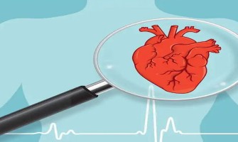 Why are more and more elderly adults starting to use CBD? Why are more and more elderly adults starting to use CBD?