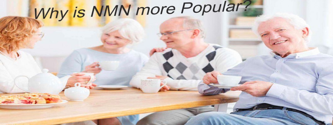 Of the 5 NAD precursors, why is only NMN more popular?