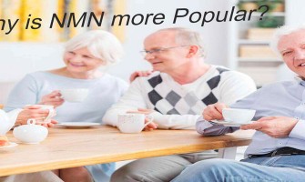 Parmi les 5 précurseurs du NAD, pourquoi seul le NMN est plus populaire ? Parmi les 5 précurseurs du NAD, pourquoi seul le NMN est plus populaire ?