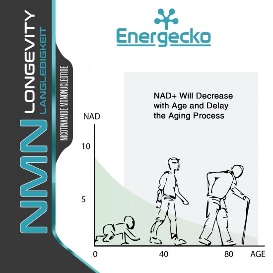 Energecko NMN Capsule con resistenza massima 500mg 60 Capsule