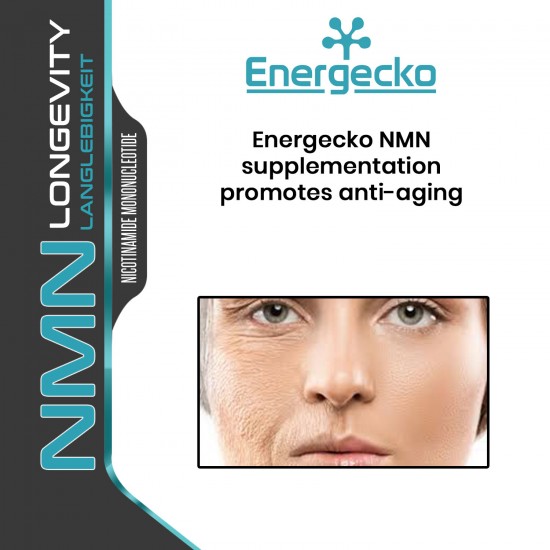 Energecko NMN Capsules à teneur maximale 500mg 60 Capsules