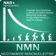 NMN PlUS Maximum Strength NMN Capsules with Hemp, 600mg Per Serving, 60 Capsules NMN PlUS Maximum Strength NMN Capsules with Hemp, 600mg Per Serving, 60 Capsules