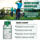 NMN PlUS Maximum Strength NMN Capsules with Hemp, 600mg Per Serving, 60 Capsules NMN PlUS Maximum Strength NMN Capsules with Hemp, 600mg Per Serving, 60 Capsules