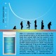 NMN STAR Polvere di NMN ad altissima purezza 500 mg per dose NMN STAR Polvere di NMN ad altissima purezza 500 mg per dose