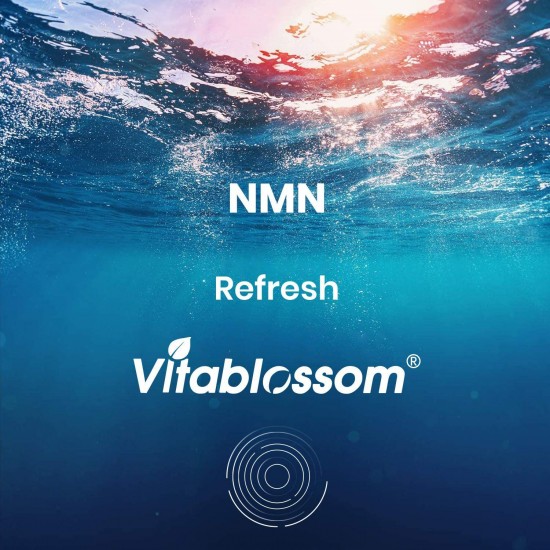 Vitablossom Refresh NMN Capsules avec Force Maximale 500mg 60 Capsules