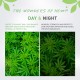 EUHEMP Augen-Feuchtigkeitscreme, Anti-Aging-Augengel gegen Falten, Best Day & Night Eye Treatment