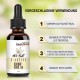 MED-BLATT Estratto di ampio spettro Olio di canapa 60ml, Estratto di canapa ad alta resistenza, 80% Made in Germania MED-BLATT Estratto di ampio spettro Olio di canapa 60ml, Estratto di canapa ad alta resistenza, 80% Made in Germania