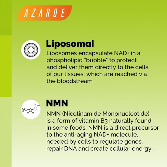 Azaroe Lipsomal vegano NMN 500mg 60 Cápsulas, fórmula vegana